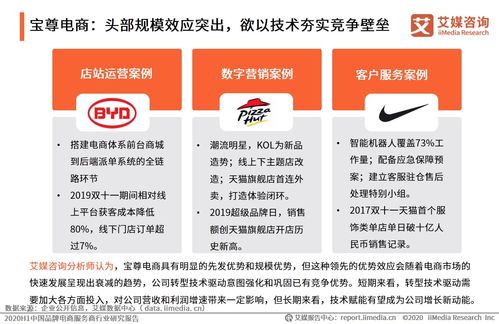 艾媒咨詢2020上半年中國品牌電商服務(wù)商行業(yè)研究報告 信息咨詢服務(wù)的價值與趨勢